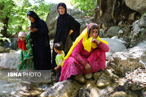 عکس منتخب هفته | از جشن بزرگ امام رضایی‌ها تا اعزام اولین گروه حجاج به سرزمین وحی