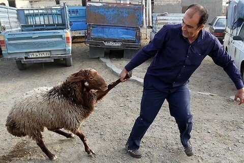 مفهوم عرضه و تقاضا!