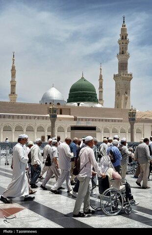 حال و هوای مسجدالنبی در ایام حج