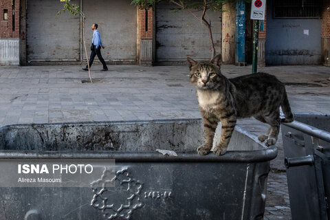 تهران ساعت ۶:۰۰