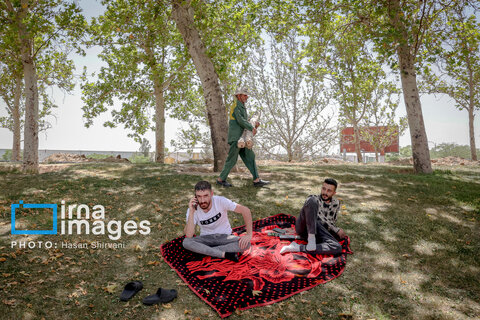 قطع درختان میدان «آزادی»؛ خاک تشنه، درختان بی‌جان