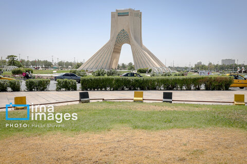 قطع درختان میدان «آزادی»؛ خاک تشنه، درختان بی‌جان