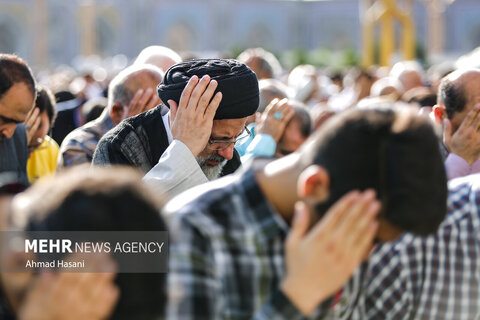 شهید جمهور