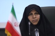 دبیر ستاد ملی جمعیت: اعطای زمین ۲۰۰ متری به خانواده‌های دارای ۳ فرزند و بیشتر/ ۱۴ میلیون مجرد در کشور داریم