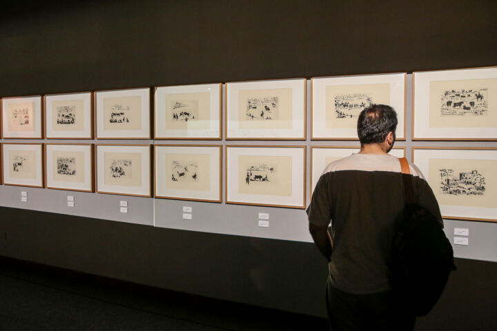 پیکاسو تا ۱۳خرداد در تهران میماند