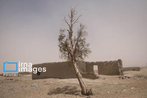 بادهای ۱۲۰ روزه سیستان