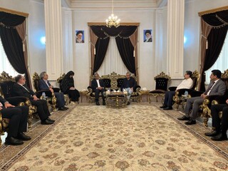 وزیر کشور پاکستان وارد مشهد شد