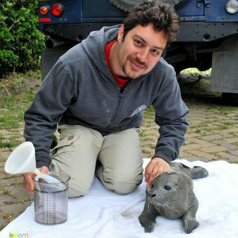 ۹۵درصد جمعیت فکهای دریای خزر آب رفته است