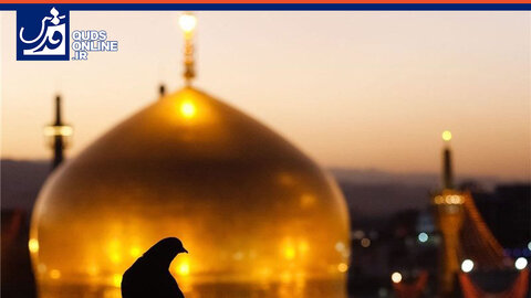 فیلم | استقبال از تازه مسلمان‌ها در حرم امام رضا(ع)