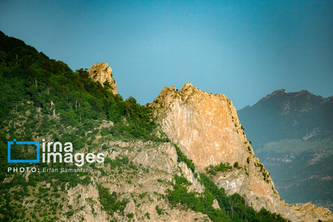 جنگل «رودبارک»