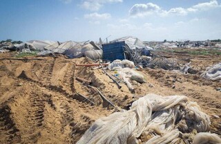 «زمین سوخته در غزه»؛ بزرگترین جنایت زیست‌محیطی جهان چگونه رقم خورد؟
