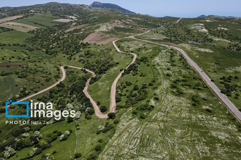 جنگل «فندقلو»