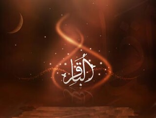 امامی که گره‌گشای شهر بود