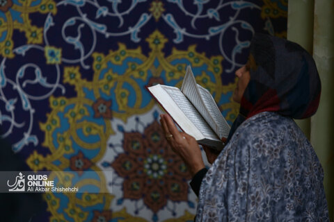 قرائت دعای عرفه در حرم مطهر رضوی