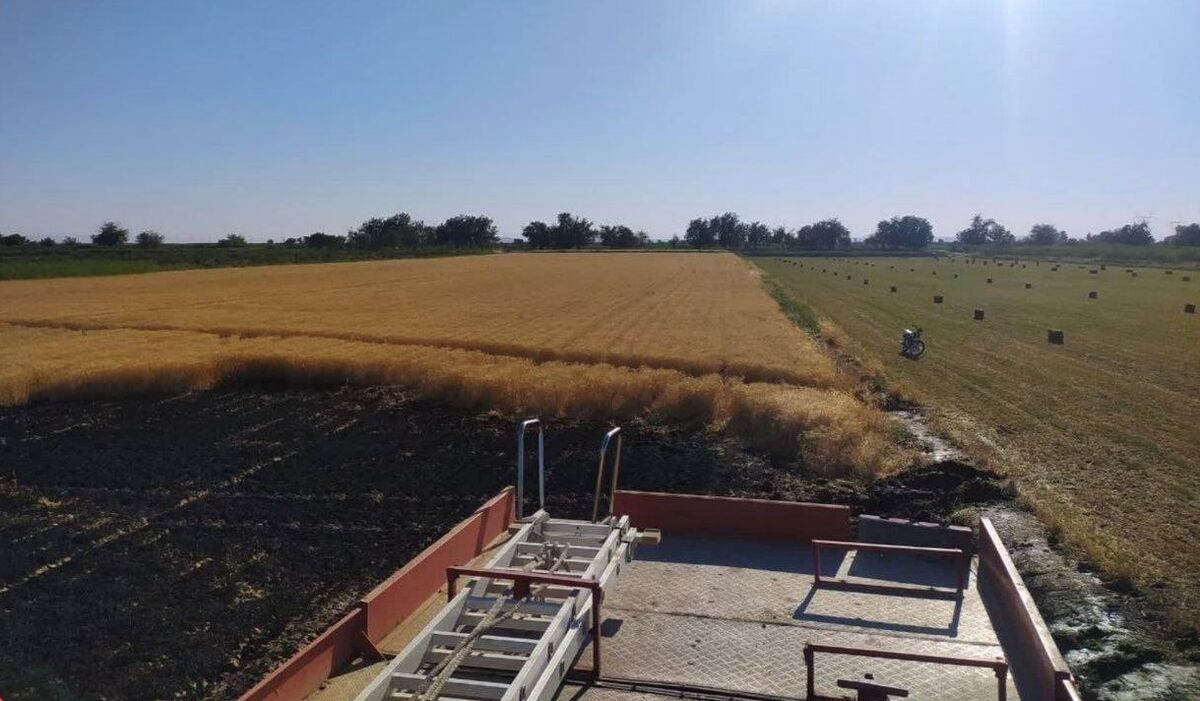 مهار آتش سوزی مزرعه گندم در سرخس