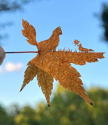 هنرمندی که با برگ درخت، اثر هنری خلق میکند/ برگها راوی قصه شدند