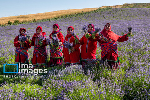 مزرعه گردشگری «سبزینه»