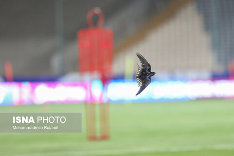 تمرین تیم ملی فوتبال ایران پیش از دیدار با کره شمالی