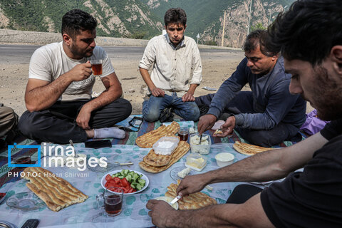 «جاده چالوس»؛ گذرگاه بهاری عشایر