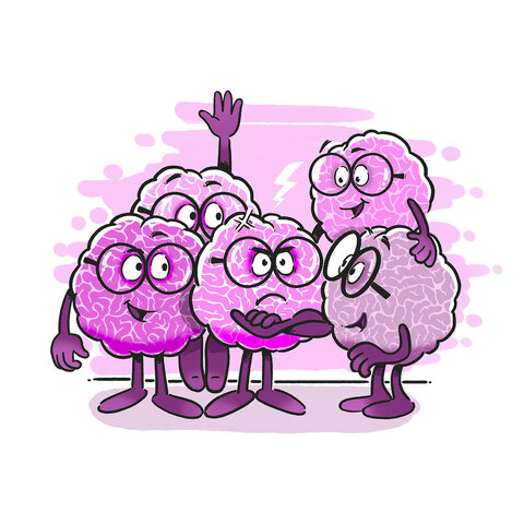 کورتکس، ضخیمش خوب است یا نازکش؟