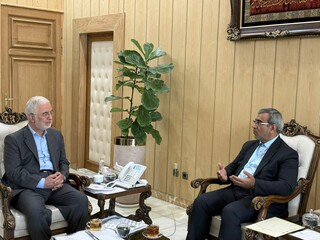 واگذاری اختیارات بیشتر به استانداری خراسان رضوی برای ساماندهی اتباع