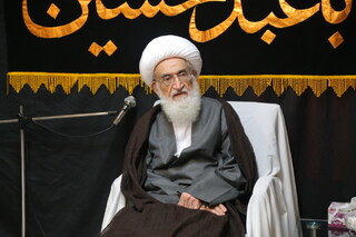 آیت الله العظمی نوری‌همدانی: یکپارچگی و وحدت حول محور رهبر معظم انقلاب ضروری و لازم است