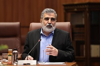 سخنگوی سازمان انرژی اتمی: هیچ‌یک از حملات به تاسیسات هسته‌ای تلفات جانی به دنبال نداشته است