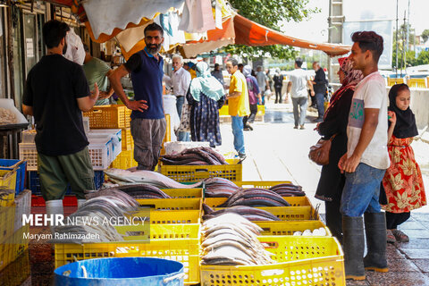 زندگی در ایران ادامه دارد...