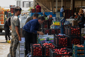 کاهش تولید به‌علاوه افزایش صادرات مساوی با گرانی میوه