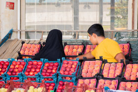 افزایش ۳۰۰ درصدی قیمت میوه!