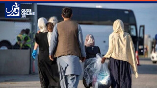 فیلم | استاندار تهران: روند خروج اتباع غیرمجاز افزایش یافته است