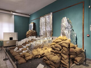 بررسی وضعیت ایمنی و حافظت آثار تاریخی موزه ملی و کاخ گلستان از سوی قائم‌مقام وزیر و معاون میراث فرهنگی