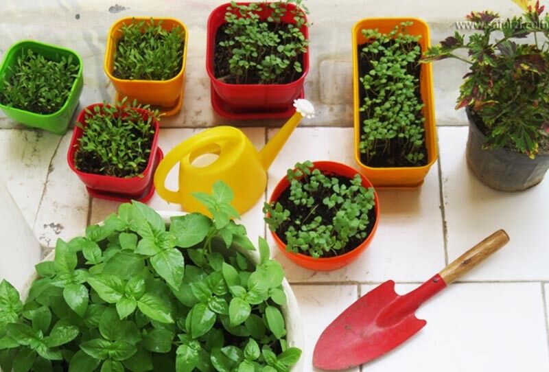 دم زندگی گرم