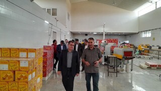 فاز دوم شهرک صنعتی کاشمر آماده واگذاری به سرمایه‌گذاران است