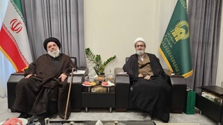 تأکید بر توسعه دیپلماسی زیارت و افزایش زائران اردوزبان