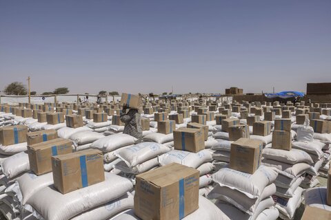 فرار آوارگان سودانی به کشور چاد