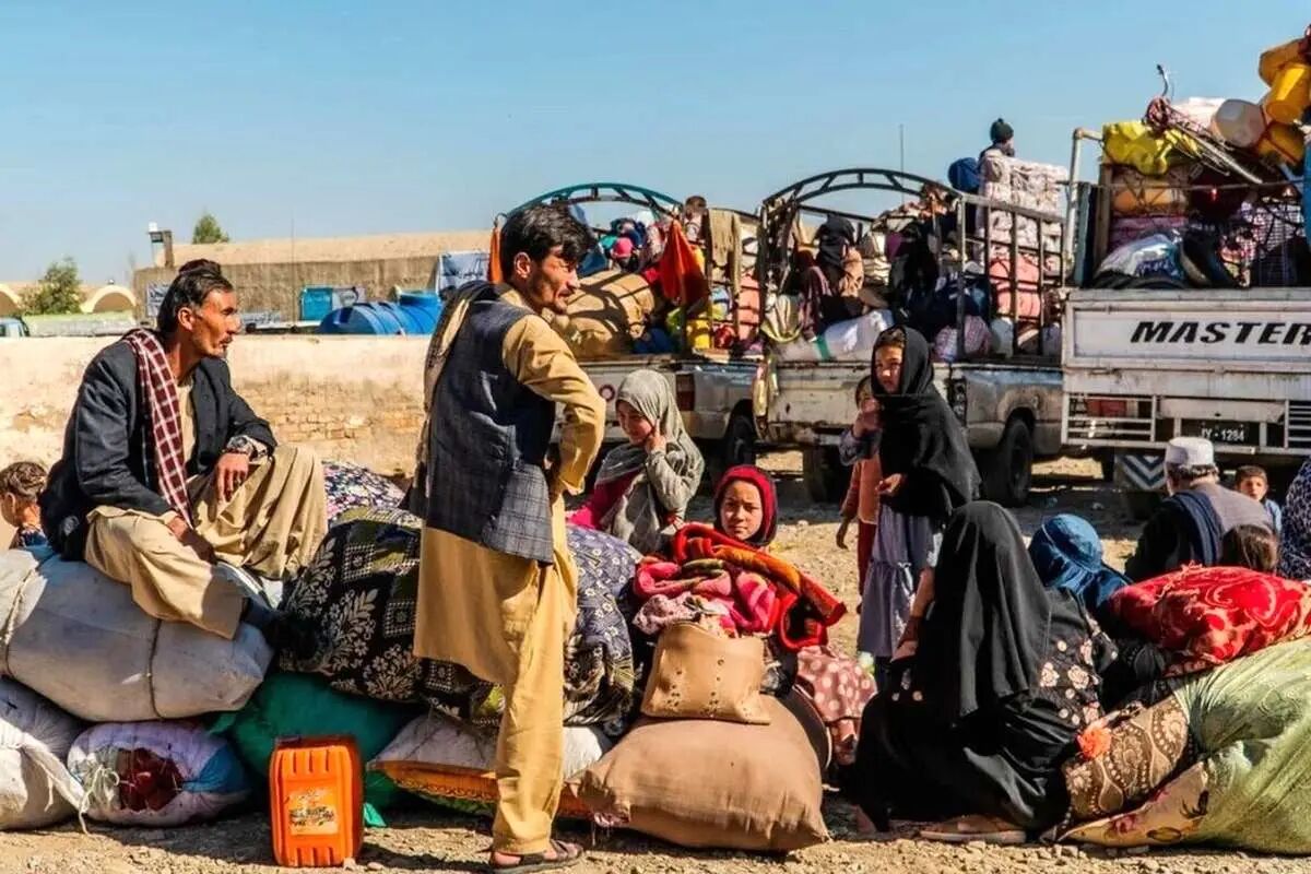 قابل قبول نیست نیروی انتظامی اتباع را دستگیرکند و ببرد و دوباره برگردند