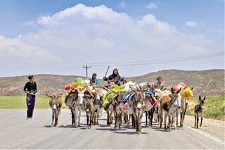 ۲۴۰ میلیارد تومان پروژه برای عشایر ایلام اجرا می شود