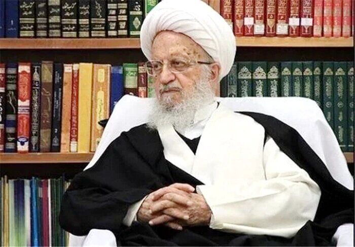 آیت الله العظمی مکارم شیرازی: حقوق بشری که غرب از آن دم می‌زند، یعنی جنایت و کشتن هزاران زن و کودک