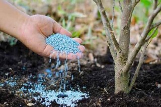 ذخیره ۸ هزار تنی کود پتاسه در گلستان برای فصل کشت