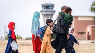 از فرصت سازی تا مدیریت بحران؛ استراتژی اقتصادی درباره مهاجران خارجی در ایران