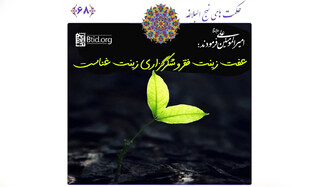دو بال پرواز انسان در فراز و فرودهای زندگی از نگاه أمیرالمؤمنین(ع)