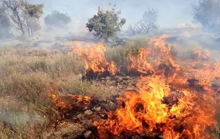 گرمای زودرس ۱۳۲ هکتار از مراتع اصفهان را شعله‌ور کرد؛ ۲۵ حریق در ۴ ماه