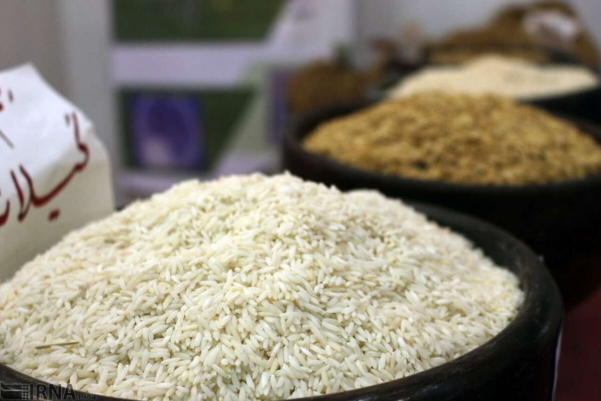 سرپرست دفتر بازرگانی داخلی وزارت جهاد کشاورزی خبر داد: اعمال سیاست‌های جدید دولت برای تنظیم بازار برنج داخلی