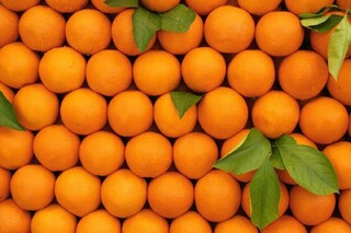 مرکبات سلاحی برای مبارزه با افسردگی