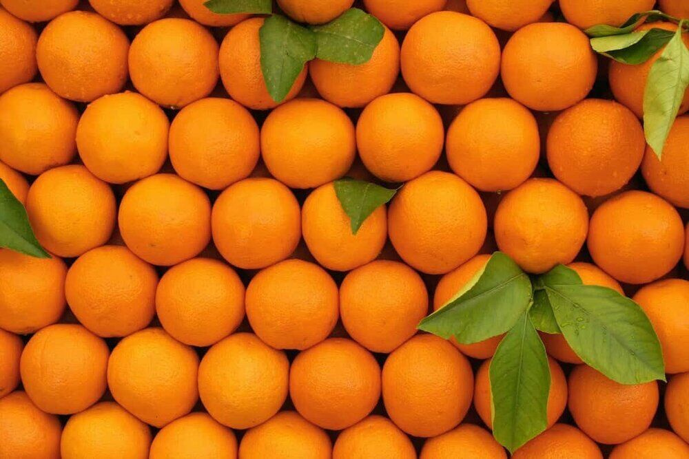 مرکبات سلاحی برای مبارزه با افسردگی