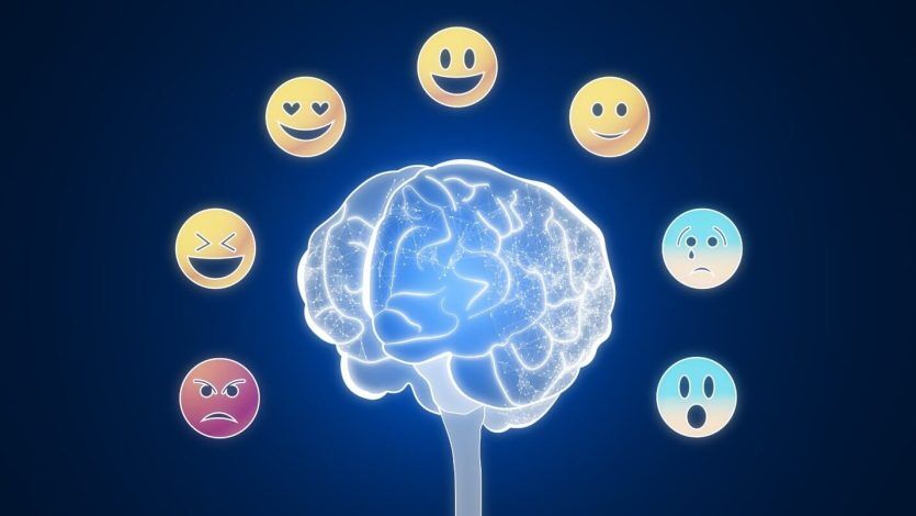 ۱۰ ویژگی کلیدی افراد با هوش هیجانی بالا