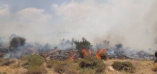 مهار کامل حریق در ارتفاعات نیشابور با مشارکت گسترده نیروهای امدادی و مردمی