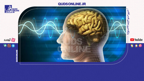 آیا امکان بازیابی خاطرات مغز انسان پس از مرگ وجود دارد؟