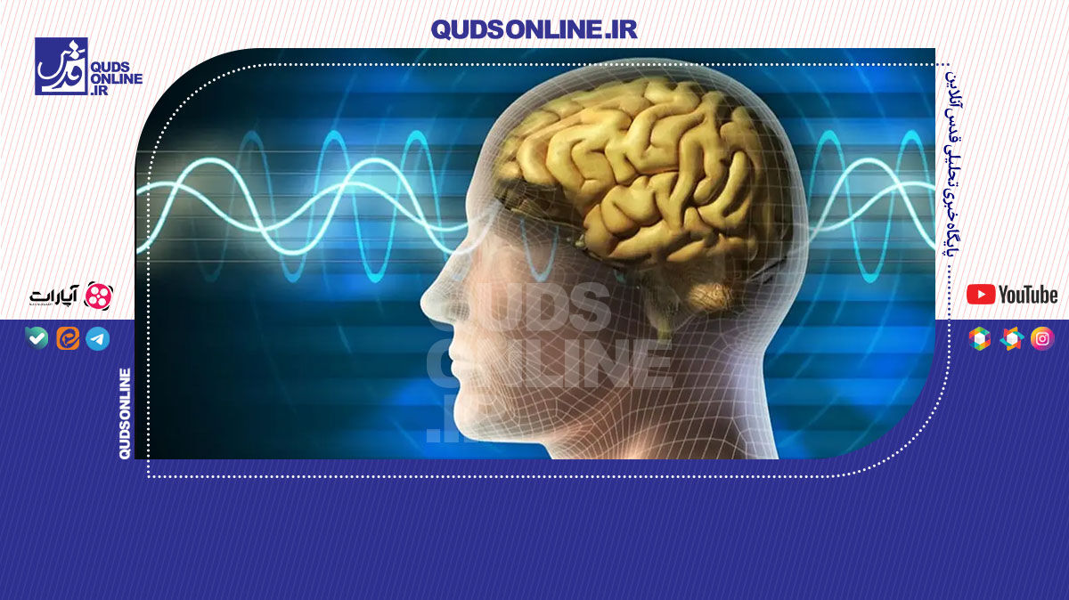 فیلم | آیا امکان بازیابی خاطرات مغز انسان پس از مرگ وجود دارد؟ فیلم | آیا امکان بازیابی خاطرات مغز انسان پس از مرگ وجود دارد؟